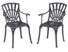 Grenada Outdoor Chair Pair by homestyles image