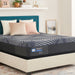 Sealy Posturepedic Plus Hybrid Brenham 13.5" Soft Mattress - LasVegasFurnitureOnline.com