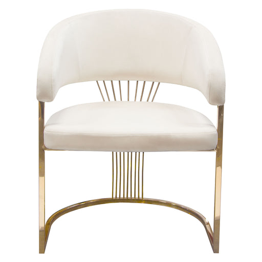 Solstice Dining Chair in Cream Velvet w/ Polished Gold Metal Frame by Diamond Sofa image