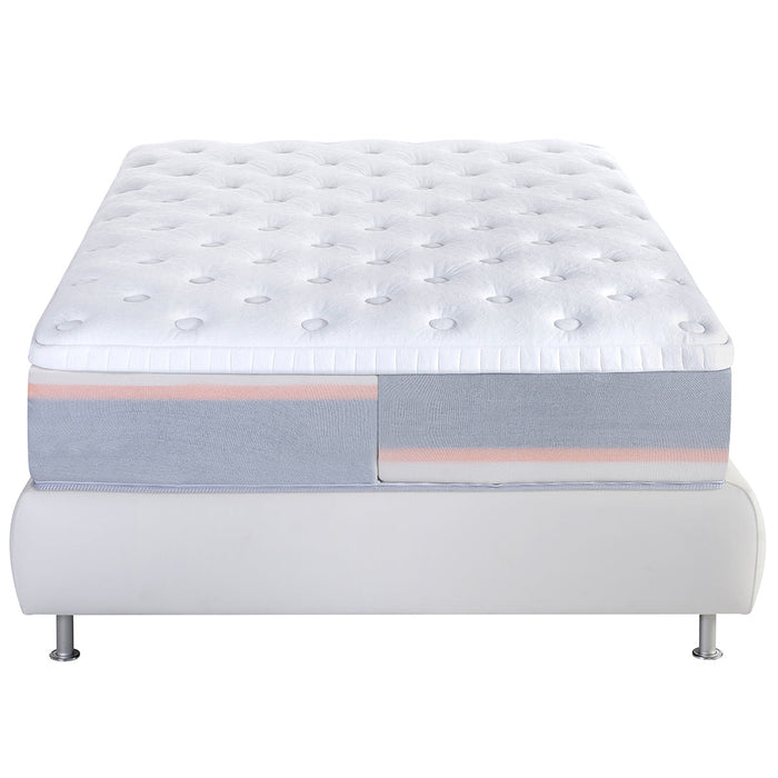 Magniflex Dolce Vita Dual 12 - Quick Ship Sizes - LasVegasFurnitureOnline.com